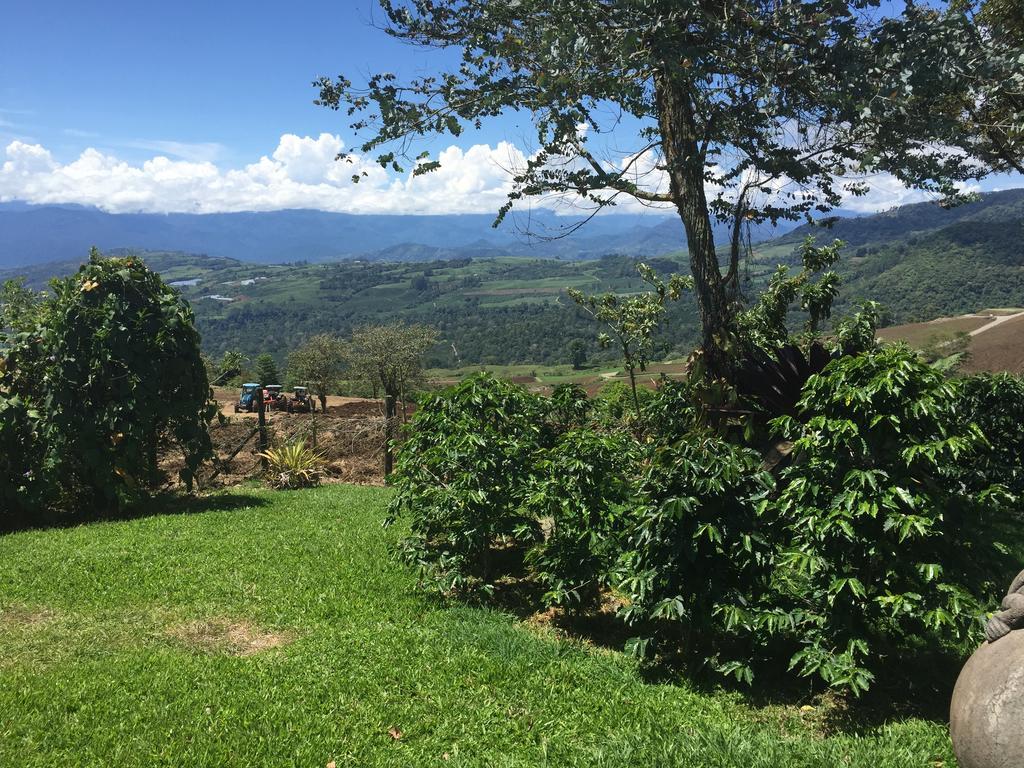 Guayabo Lodge Santa Cruz  Экстерьер фото